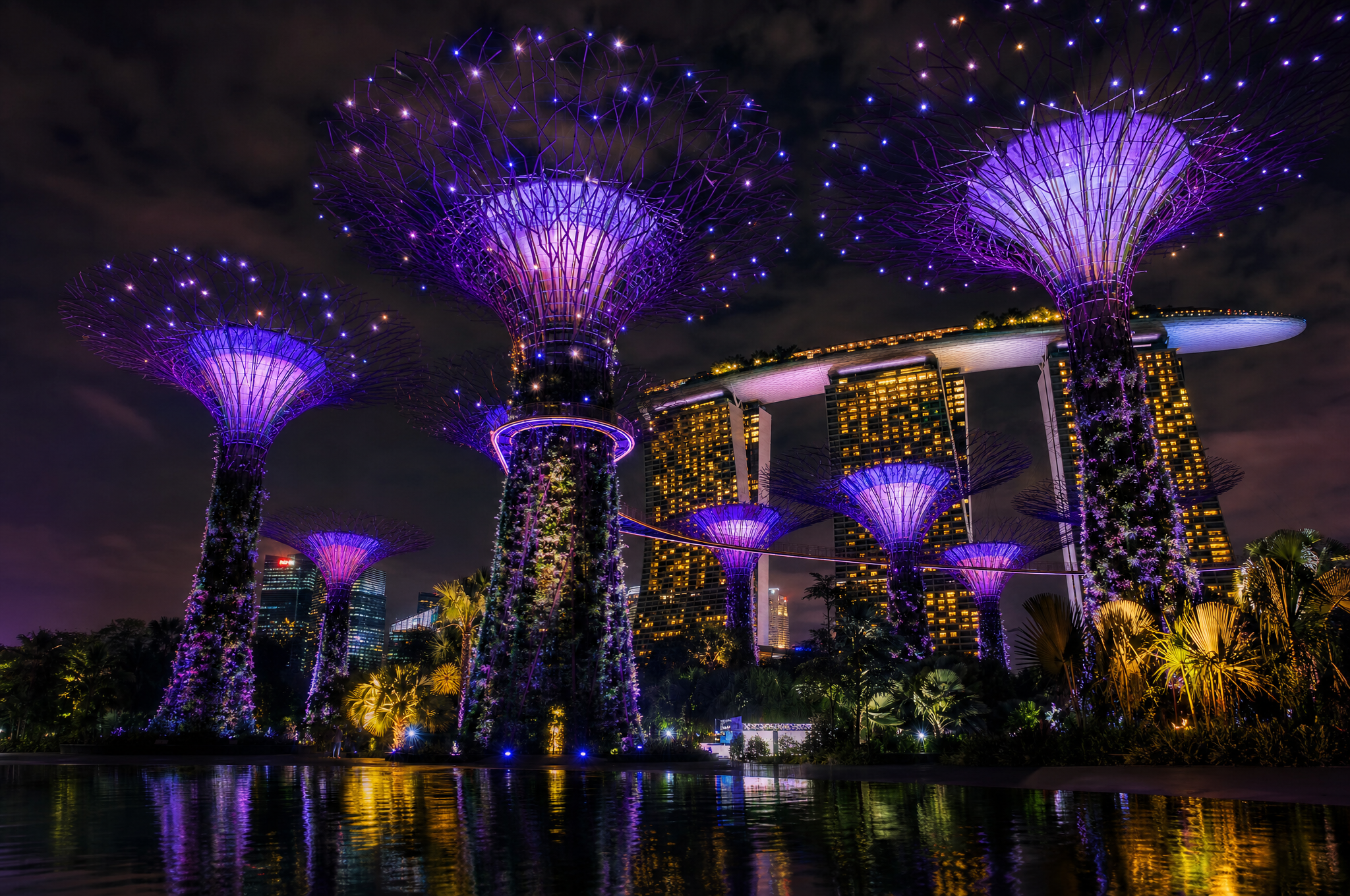 Gardens by the Bay Supertrees glowing at night